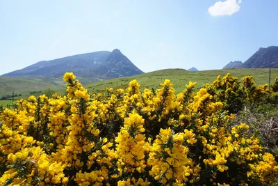 60 Minute Theraputic Massage