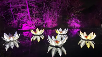 30 Minute Theraputic Massage